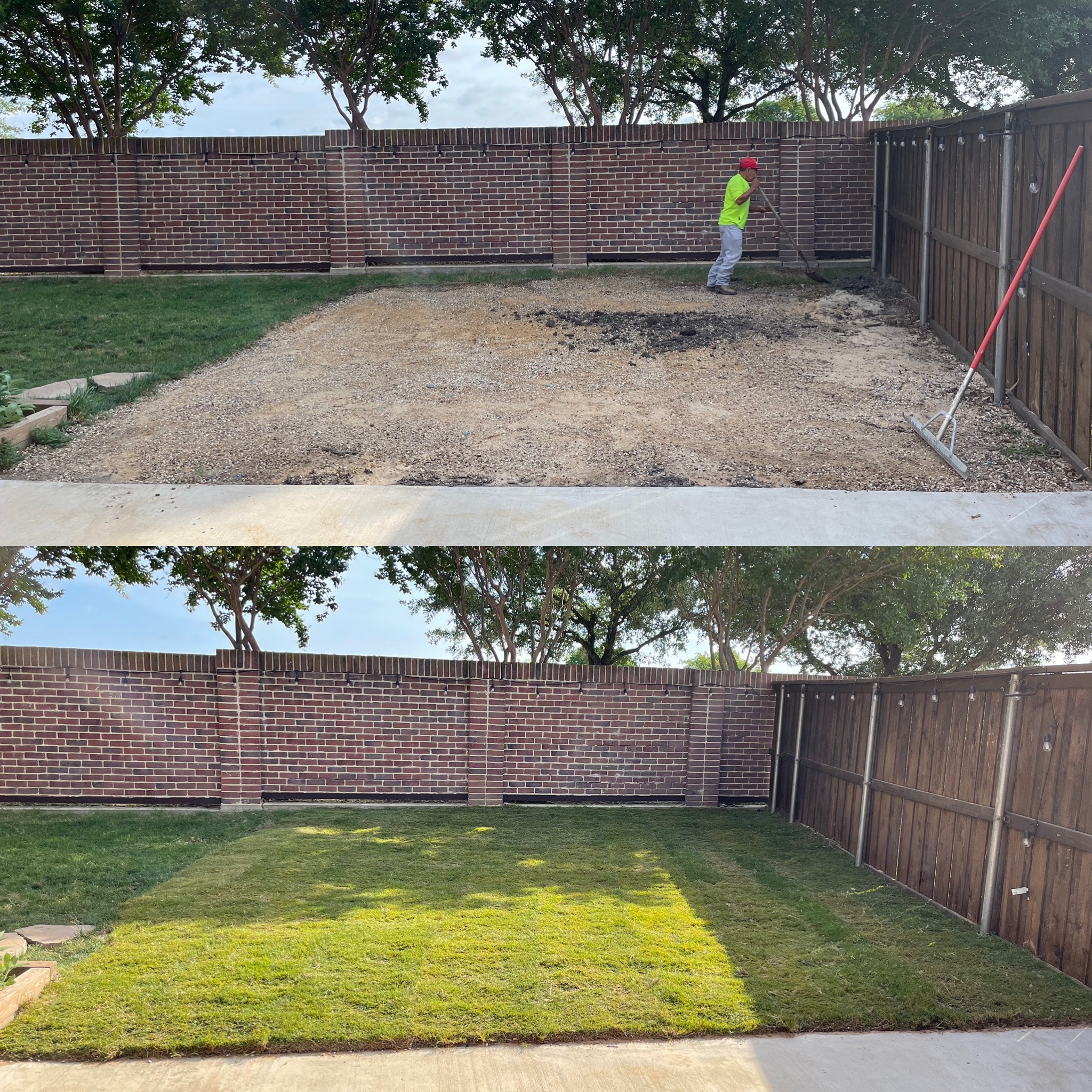 The Complete Guide to Lawn Care in North Texas