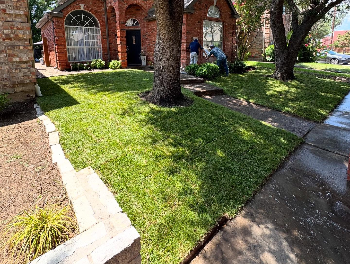 Estate Sod Installation